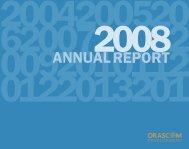 Annual Report 2008 - Orascom Development