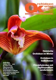 diese Ausgabe herunterladen - Orchideen.at