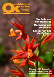 diese Ausgabe herunterladen - Orchideen.at