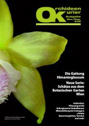 diese Ausgabe herunterladen - Orchideen.at