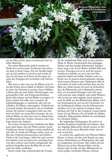 diese Ausgabe herunterladen - Orchideen.at