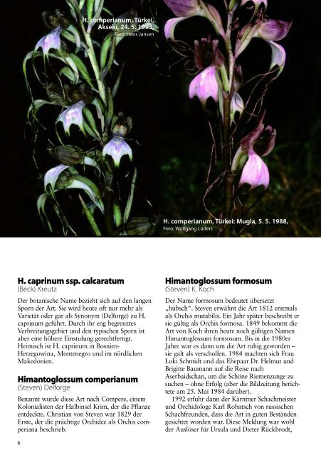 diese Ausgabe herunterladen - Orchideen.at