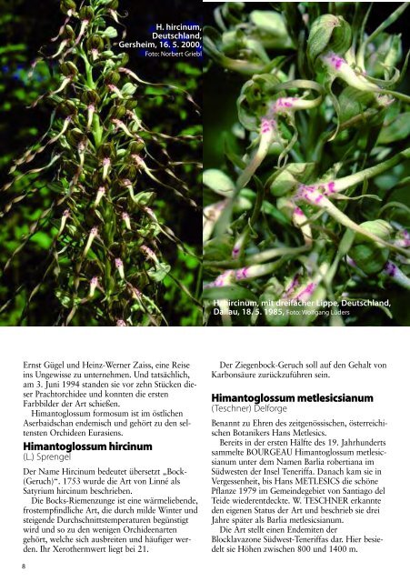 diese Ausgabe herunterladen - Orchideen.at