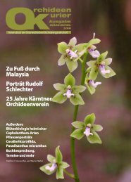 diese Ausgabe herunterladen - Orchideen.at