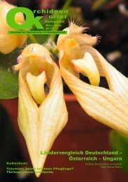 diese Ausgabe herunterladen - Orchideen.at