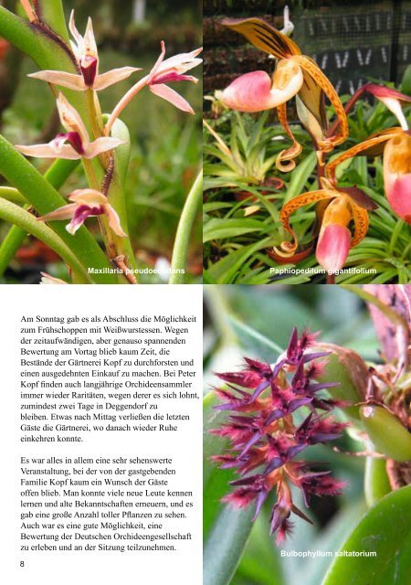 diese Ausgabe herunterladen - Orchideen.at
