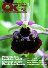 diese Ausgabe herunterladen - Orchideen.at