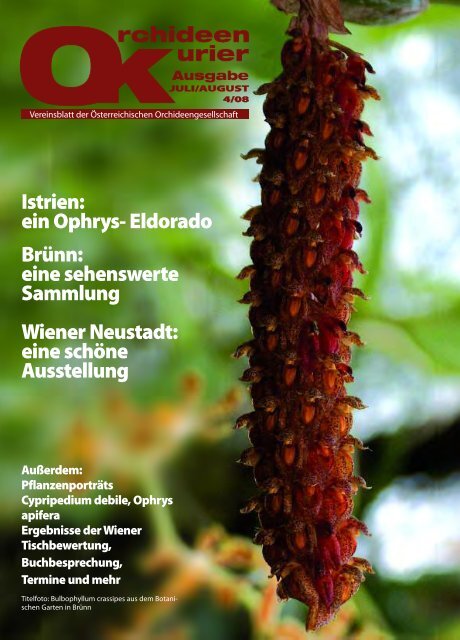 diese Ausgabe herunterladen - Orchideen.at