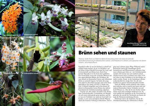 diese Ausgabe herunterladen - Orchideen.at