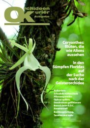 diese Ausgabe herunterladen - Orchideen.at