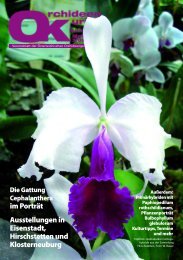 diese Ausgabe herunterladen - Orchideen.at