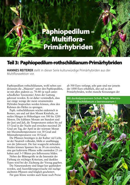 diese Ausgabe herunterladen - Orchideen.at