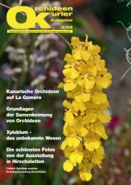 diese Ausgabe herunterladen - Orchideen.at