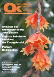 diese Ausgabe herunterladen - Orchideen.at