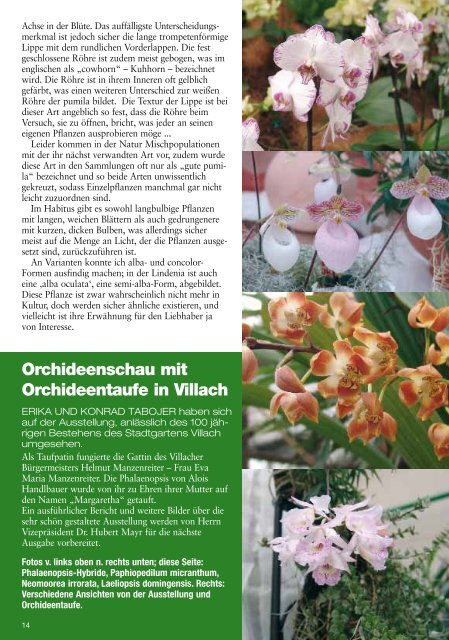 diese Ausgabe herunterladen - Orchideen.at