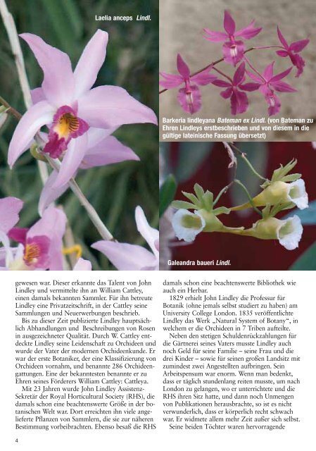 diese Ausgabe herunterladen - Orchideen.at