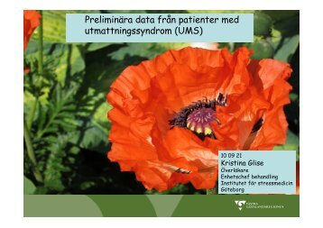 PreliminÃ¤ra data frÃ¥n patienter med utmattningssyndrom (UMS)