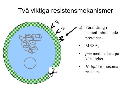 Ska barn ha andra antibiotika Ã¤n vuxna?