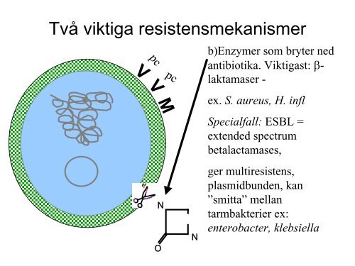 Ska barn ha andra antibiotika Ã¤n vuxna?