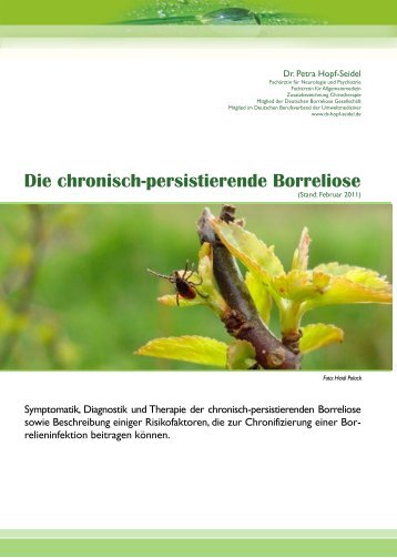 Die chronisch-persistierende Borreliose