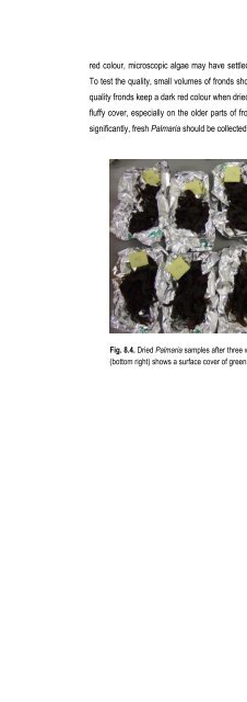 Cultivating Palmaria palmata - Bord Iascaigh Mhara