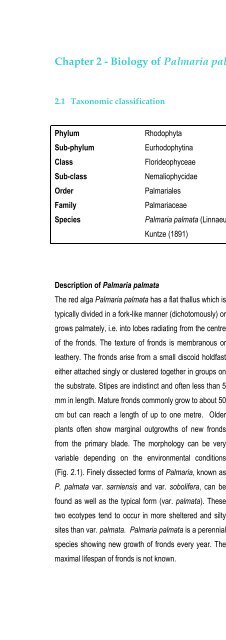 Cultivating Palmaria palmata - Bord Iascaigh Mhara