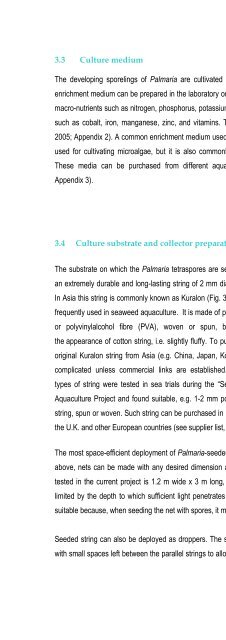 Cultivating Palmaria palmata - Bord Iascaigh Mhara