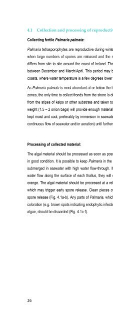 Cultivating Palmaria palmata - Bord Iascaigh Mhara