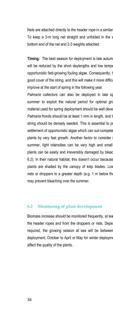 Cultivating Palmaria palmata - Bord Iascaigh Mhara