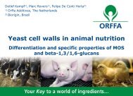 Yeast cell walls in animal nutrition - Orffa