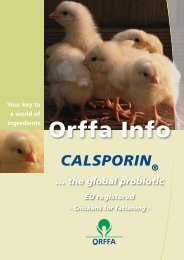 EN: Leaflet Calsporin in broilers - Orffa