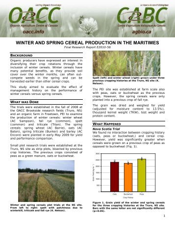 Winter and Spring Cereal Production in the Maritimes