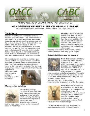 management of pest flies on organic farms - Centre d'agriculture ...