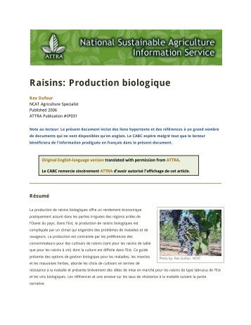 Raisins: Production biologique - Centre d'agriculture biologique du ...