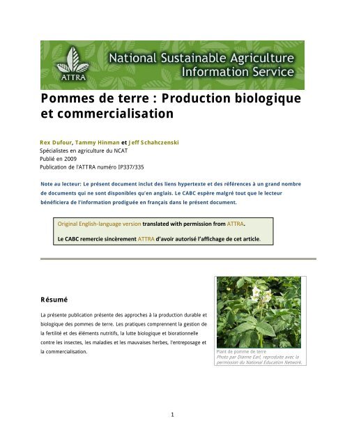 Pommes de terre : Production biologique et commercialisation