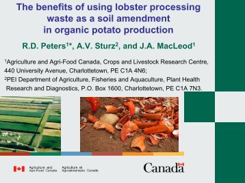 The benefits of using lobster processing waste as a soil amendment ...