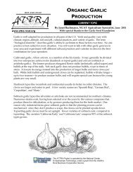 Organic Garlic Production