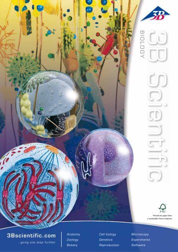 3B Scientific - Biology Catalog
