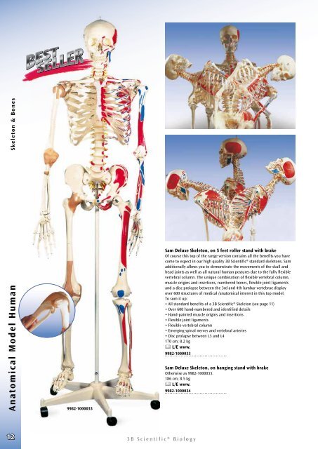 3B Scientific - Biology Catalog