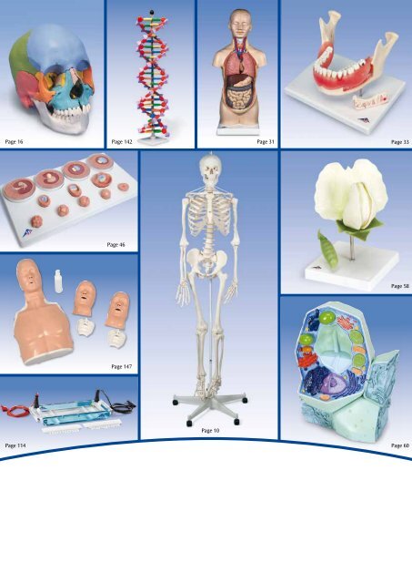 3B Scientific - Biology Catalog