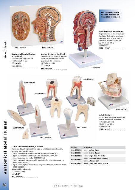 3B Scientific - Biology Catalog