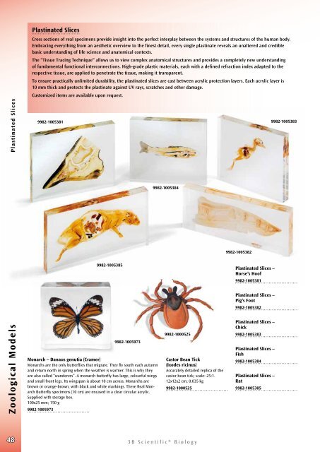 3B Scientific - Biology Catalog