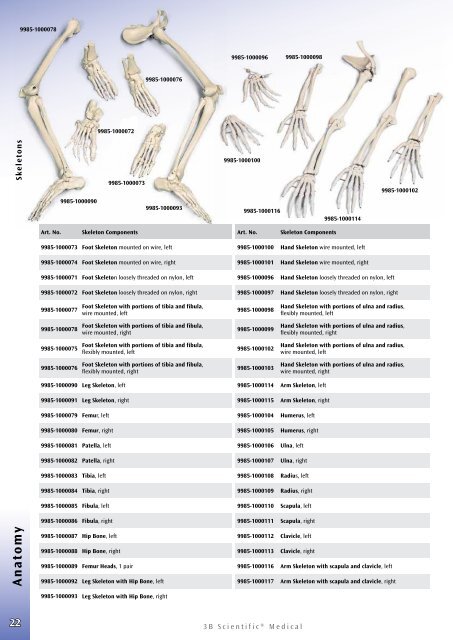 3B Scientific - Medical Catalog