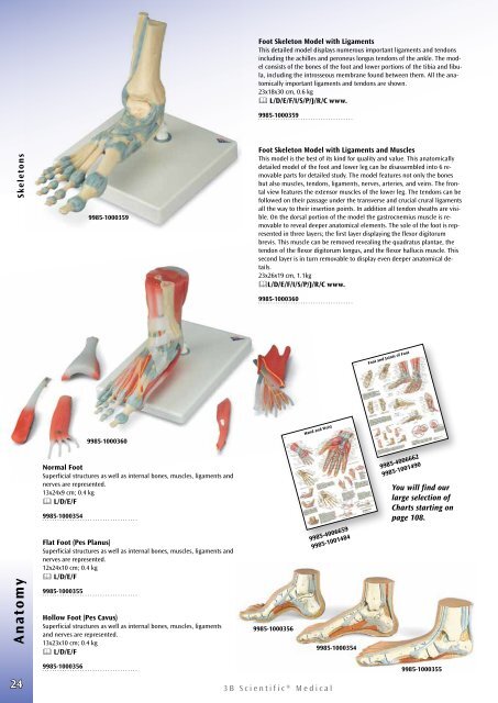 3B Scientific - Medical Catalog