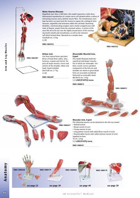 3B Scientific - Medical Catalog