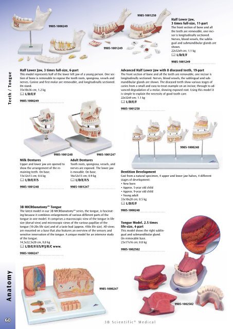 3B Scientific - Medical Catalog