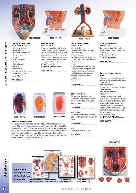 3B Scientific - Medical Catalog