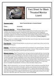 Fact Sheet for Black Throated Monitor Lizard