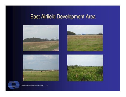 Orlando International Airport East Airfield Development Area Draft ...