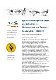 Rundbrief Nr. 1 - NiedersÃ¤chsische Ornithologische Vereinigung eV